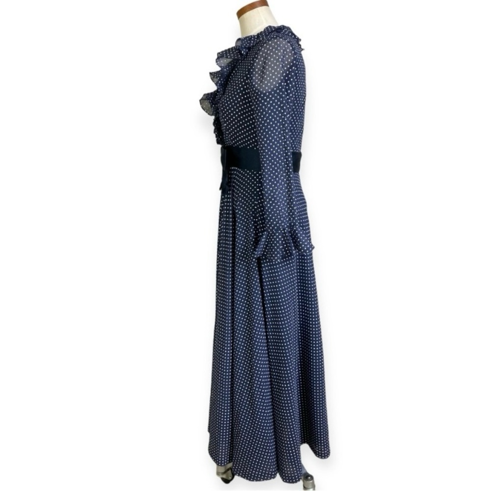 Rona New York Vintage 70s Swiss Dot Ruffle Maxi D… - image 7